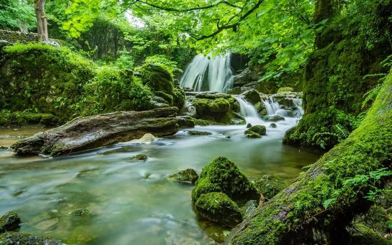 高标准高效稳定性